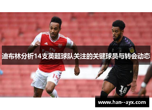 迪布林分析14支英超球队关注的关键球员与转会动态