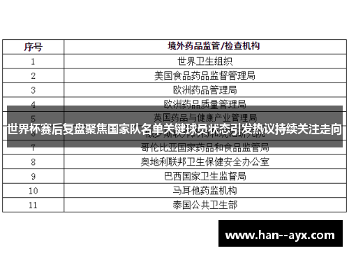 世界杯赛后复盘聚焦国家队名单关键球员状态引发热议持续关注走向